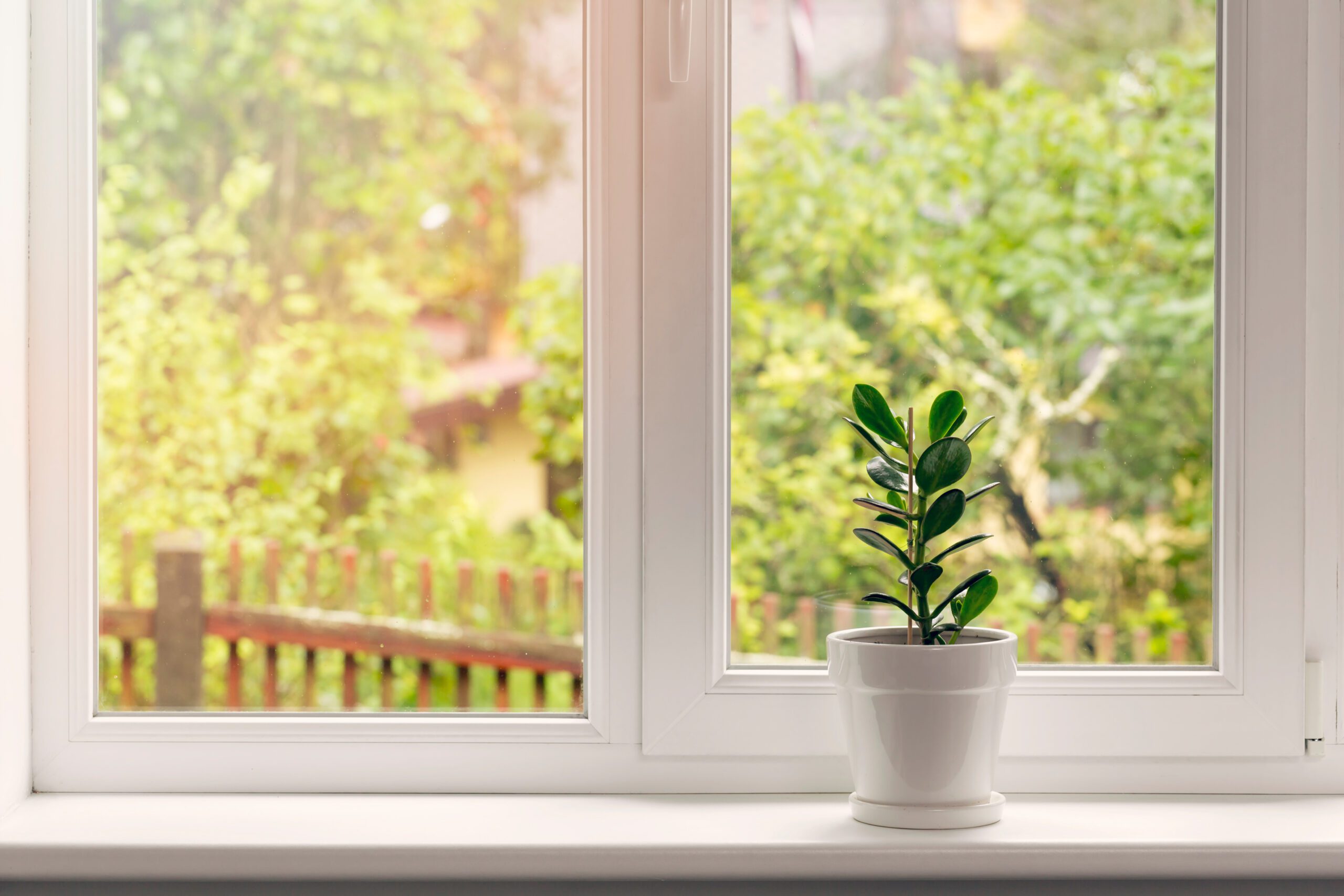 Window letting light in with plant in sill